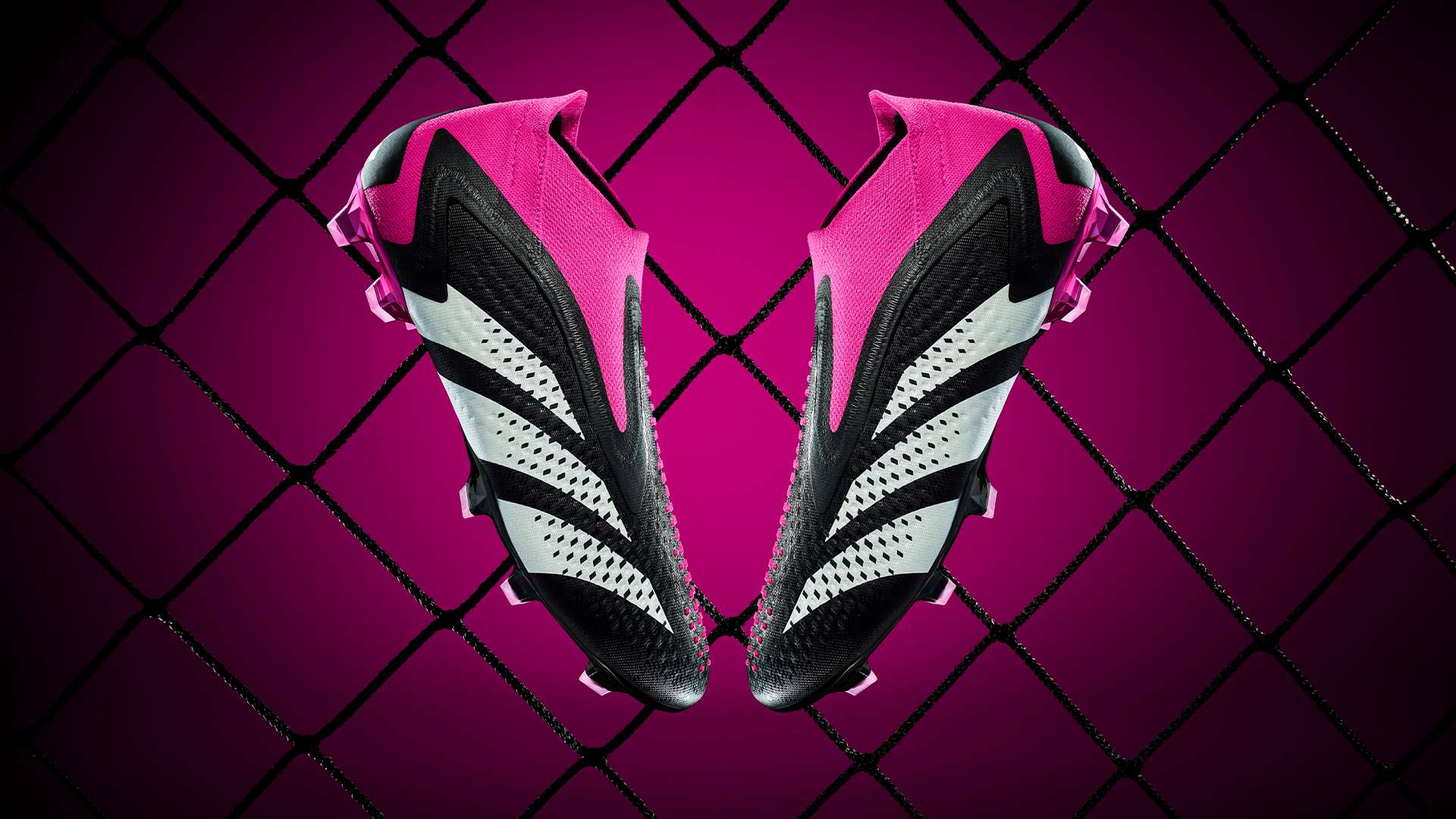 夏奇拉作为 夏奇拉作为