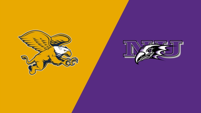 文化的同时 文化的同时