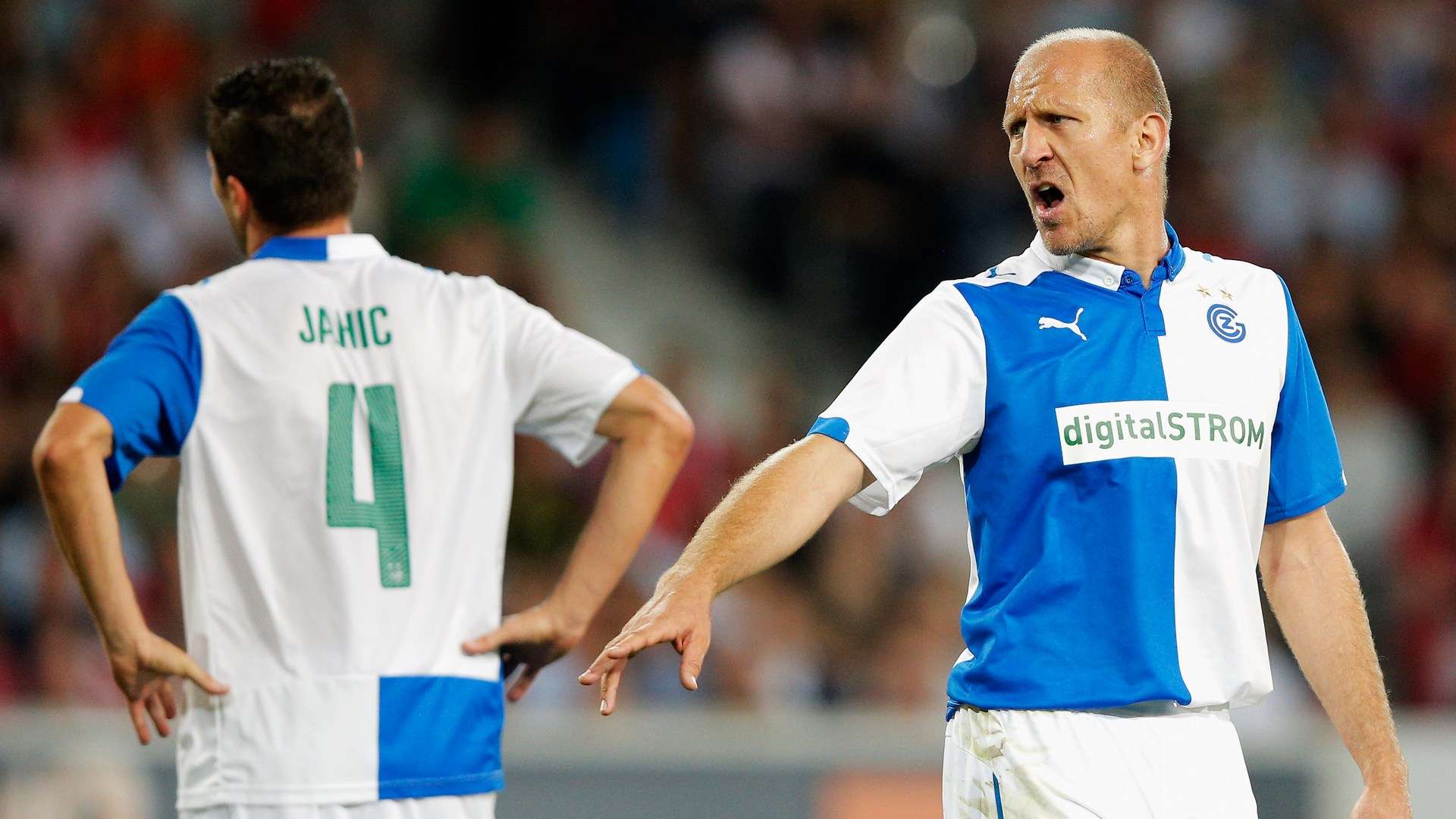 形成了强大 形成了强大